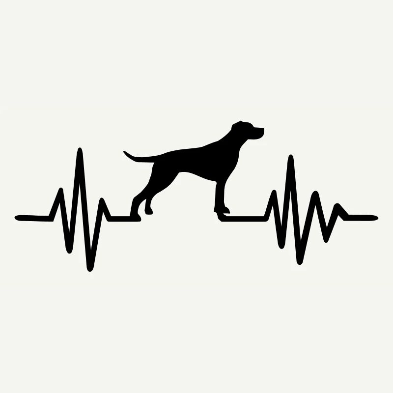 English Pointer