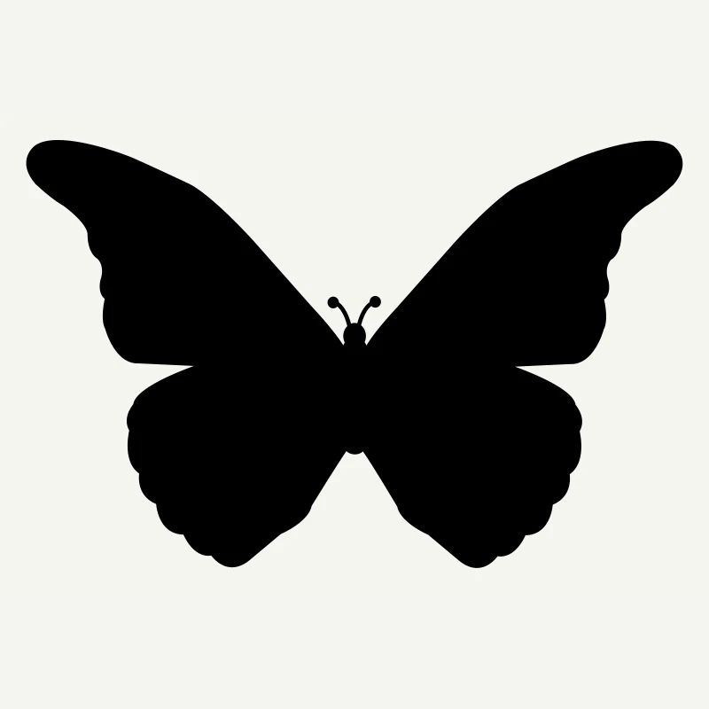 schmetterling