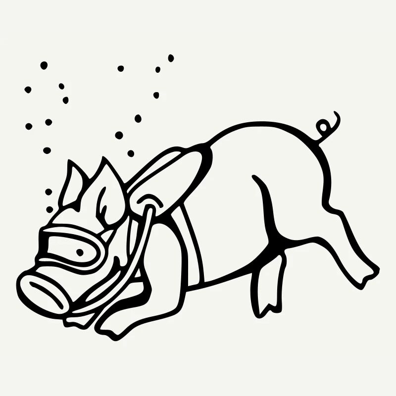 taucher schwein
