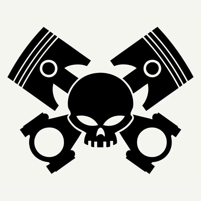 pistons - rods and skull
