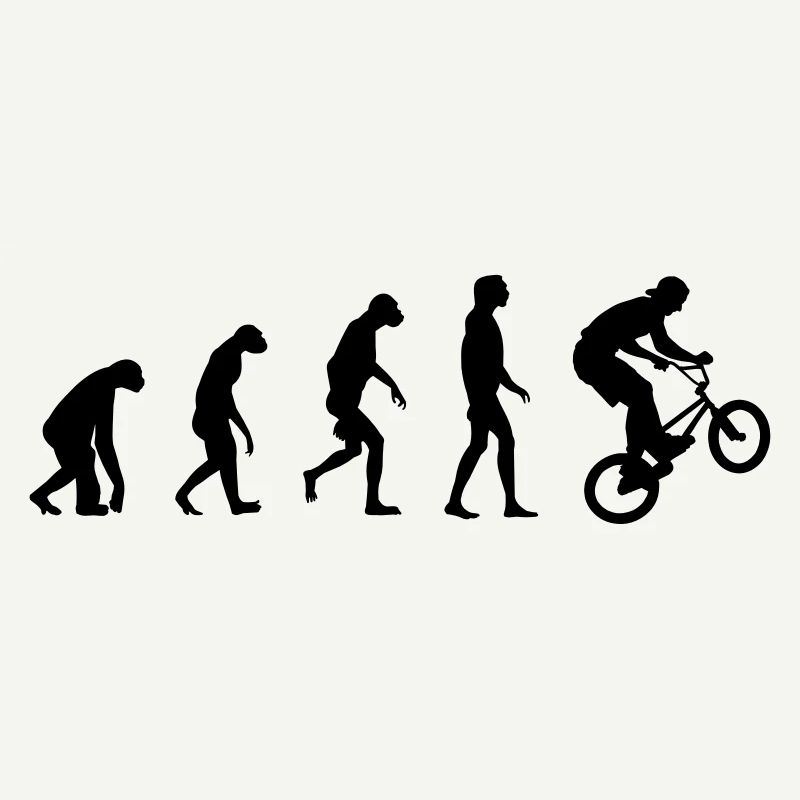 Evolution of BMX