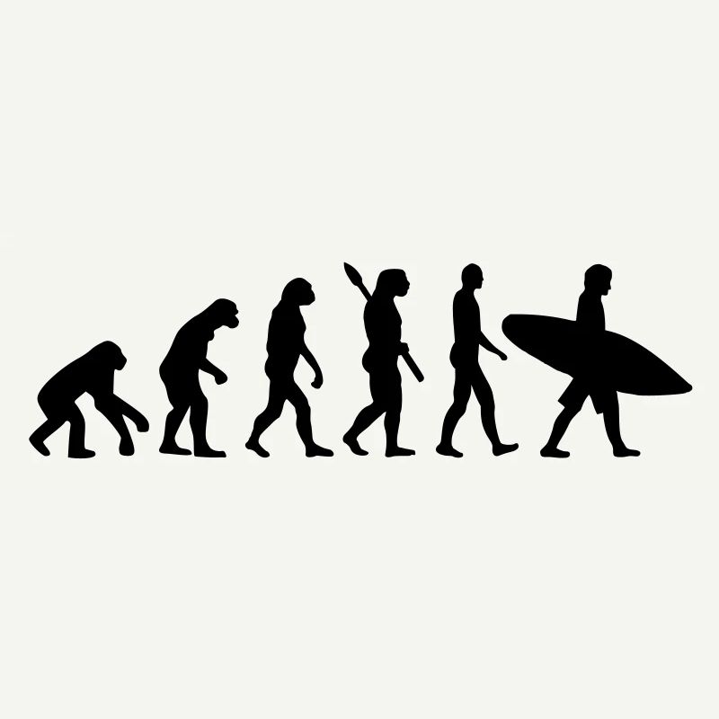Evolution Surfen