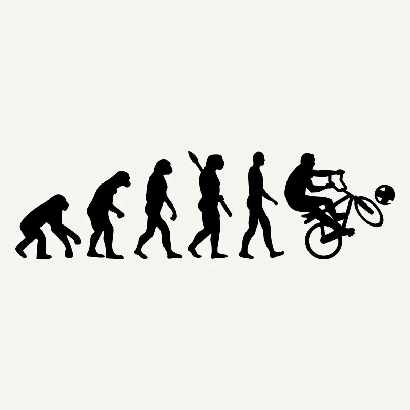 Evolution Cycle ball