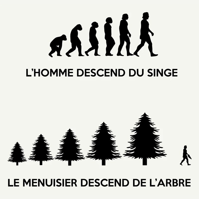 Evolution du menuisier