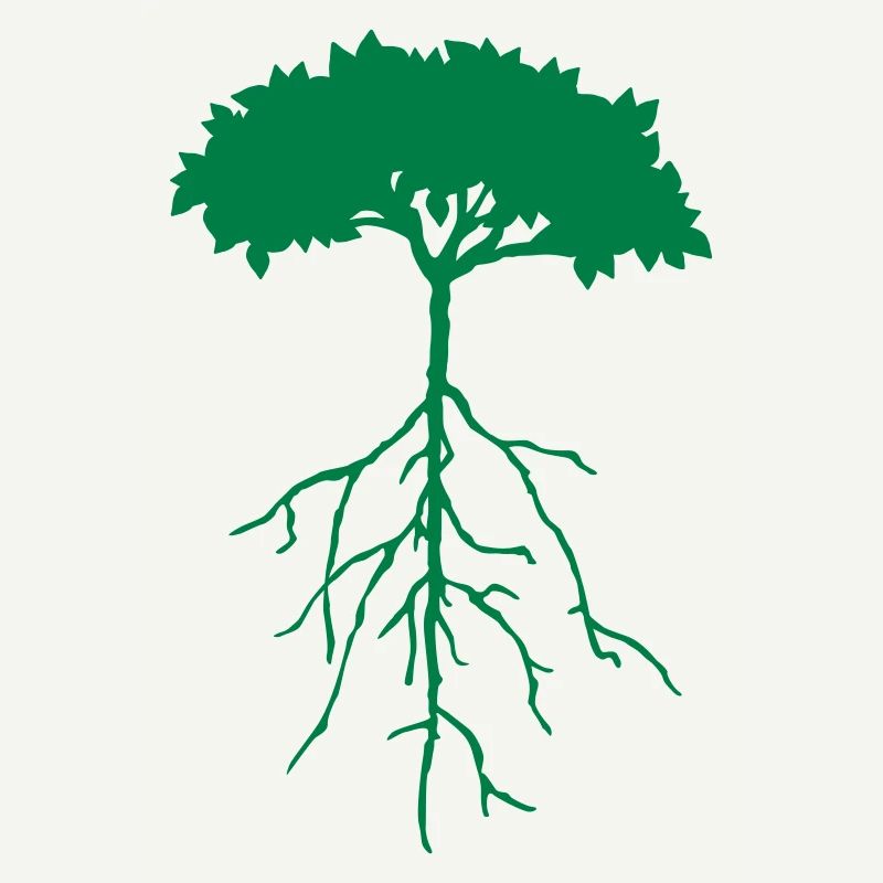 wurzelbaum