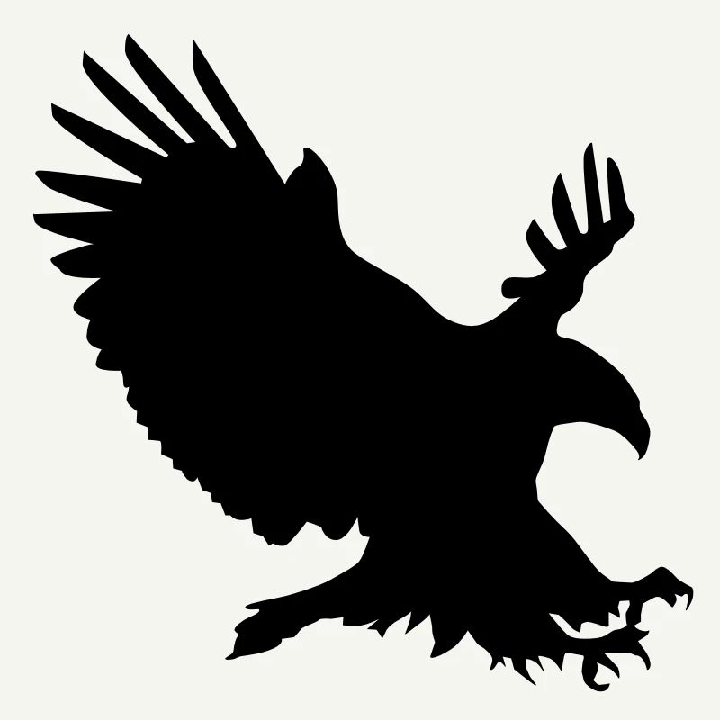 Eagle in flight