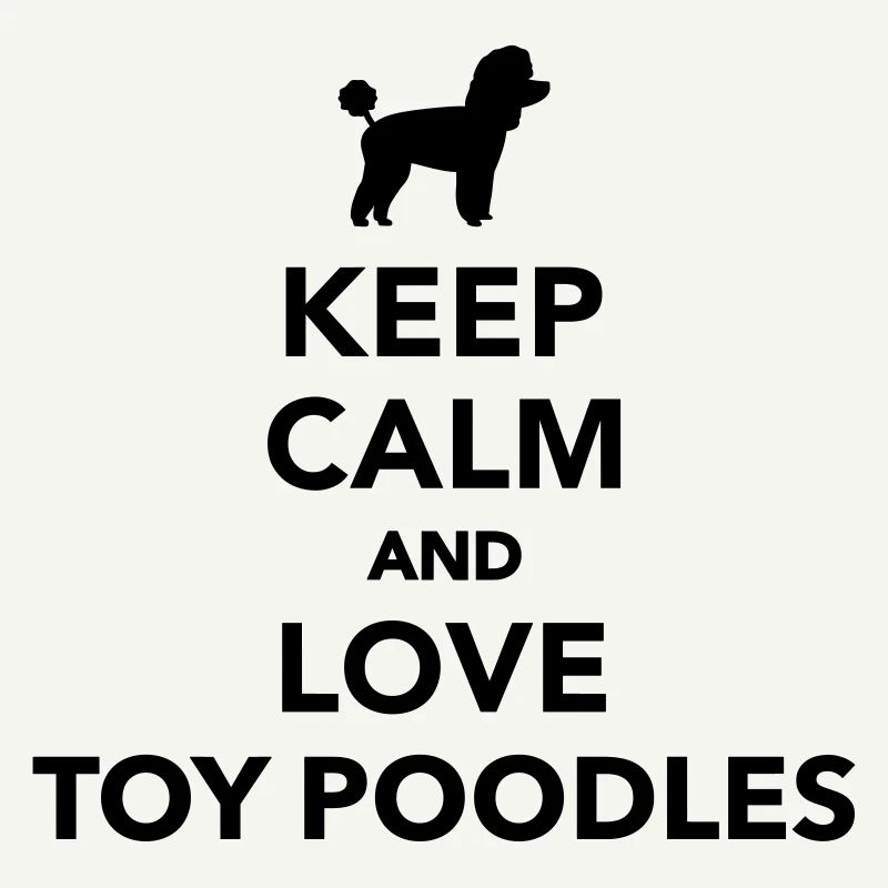 Toy Caniche