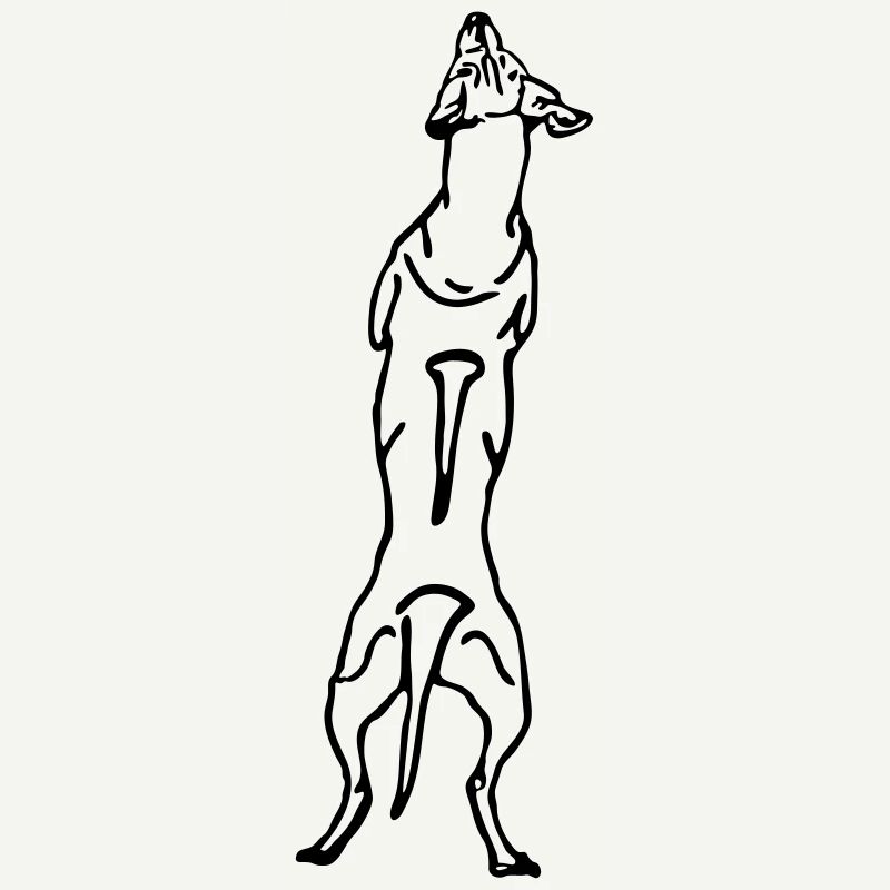 Ridgeback back