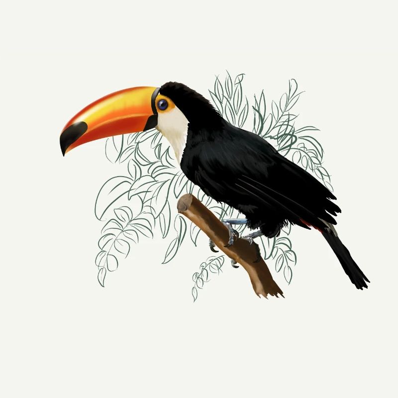 Toucan