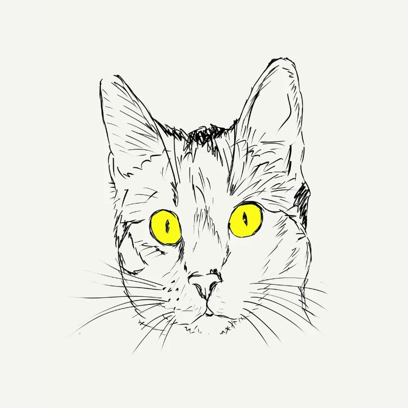 Chat, gueule de bois, amant de chat, tête de chat, oeil de chat
