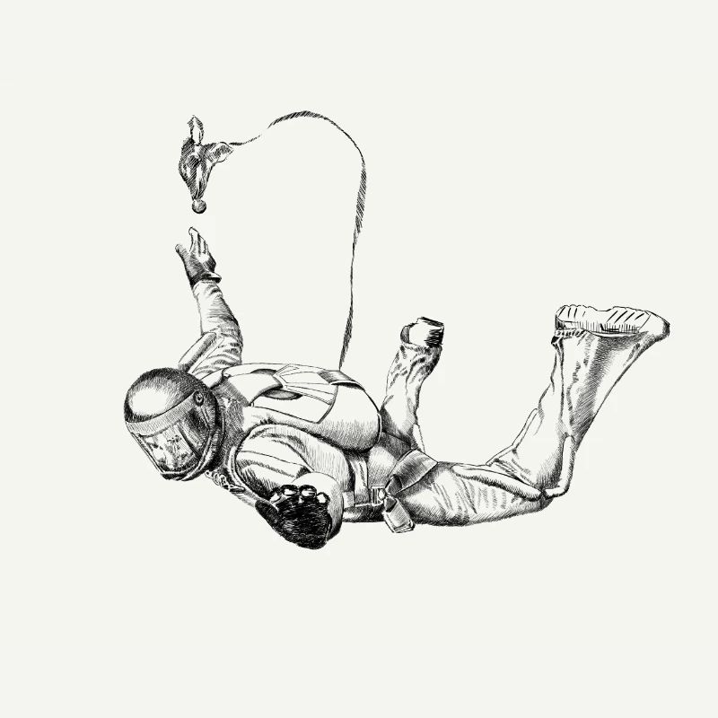 Skydiver