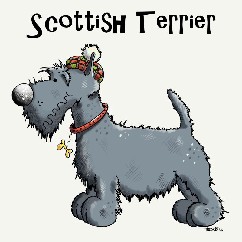 Happy Scottish Terrier