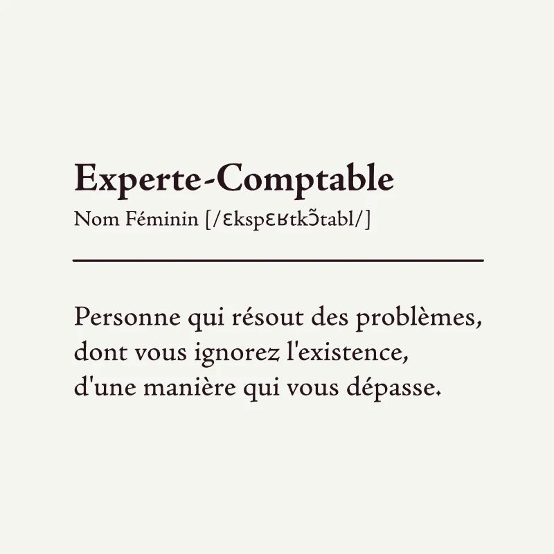 Experte Comptable Definition