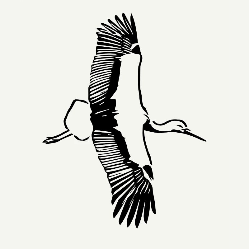 Le vol de la cigogne