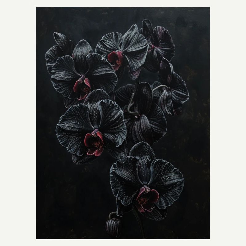 Schwarze  Gothic Orchideen 