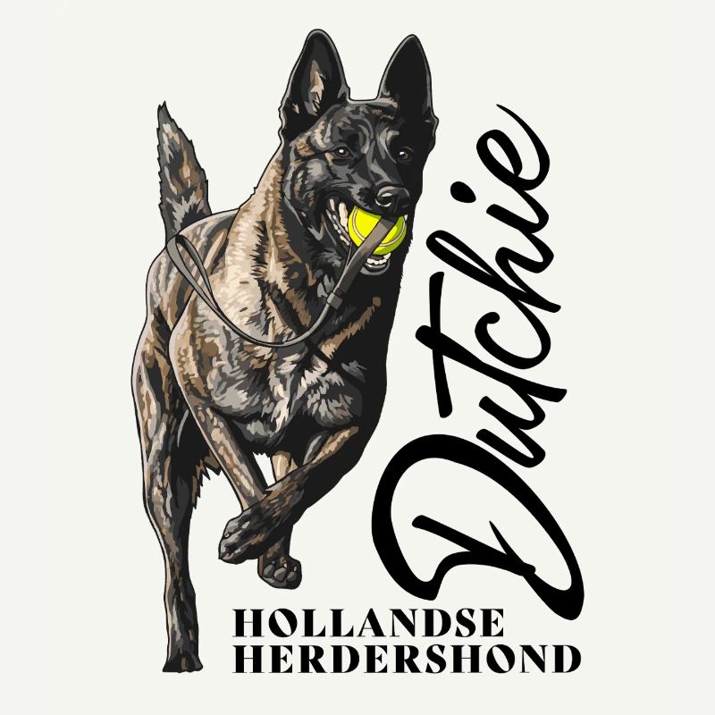 Berger hollandais - Dutchie