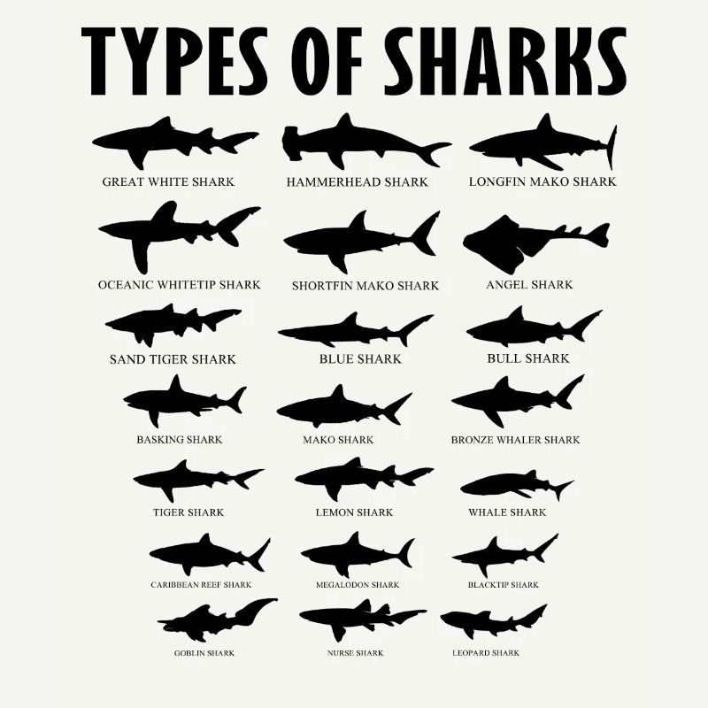 Tableau des types éducatifs d’espèces de requins