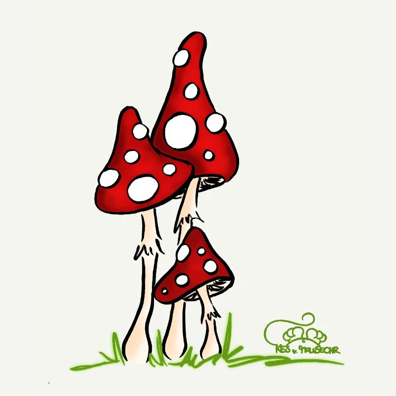 Muchotravky - Toadstools