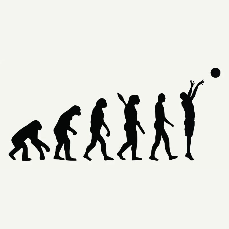 Evolution BASKETBALL b