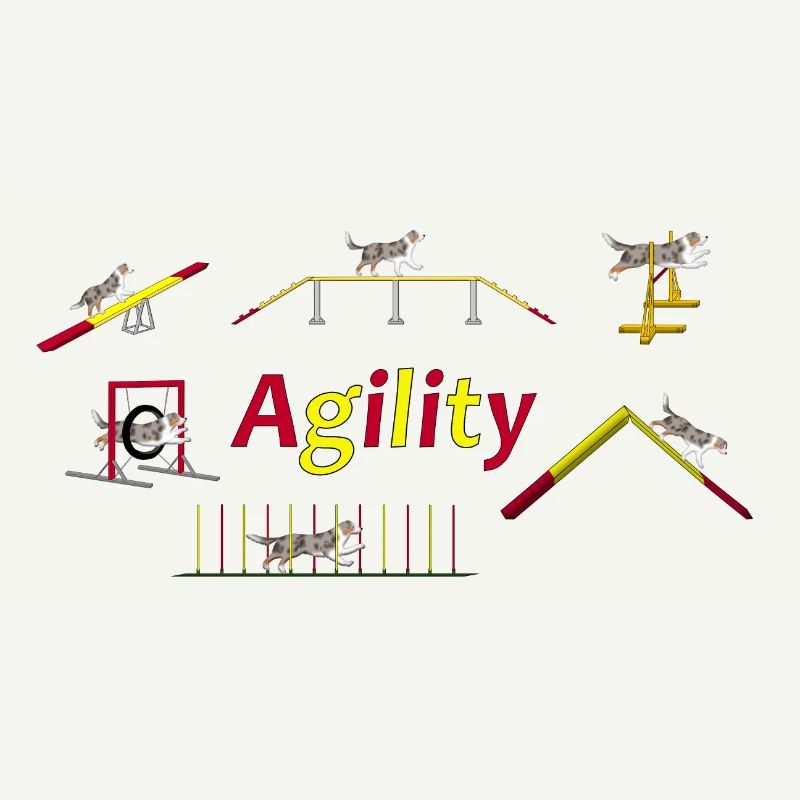 Agilité totale