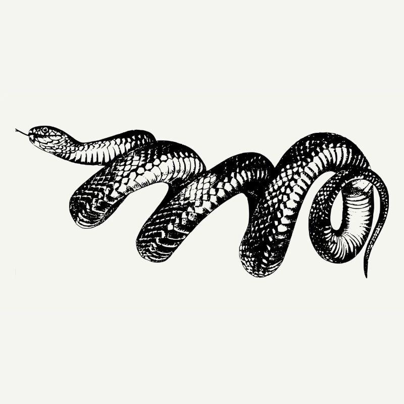 serpent
