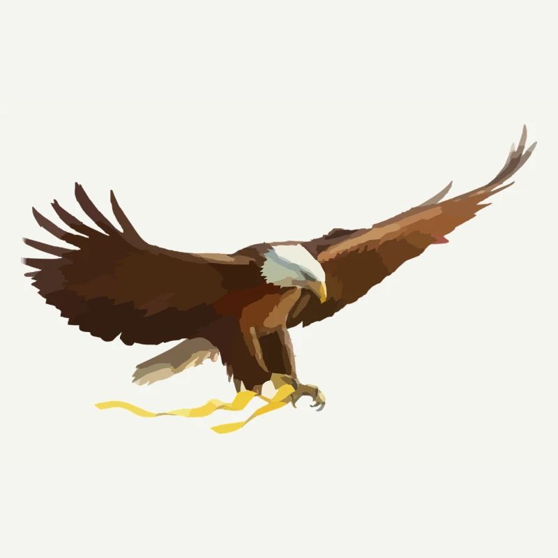 aigle