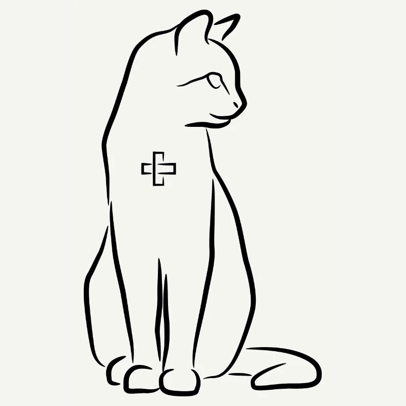Cat First Aid