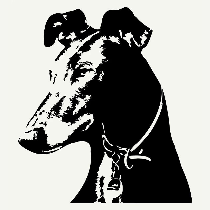 Galgo Kopf