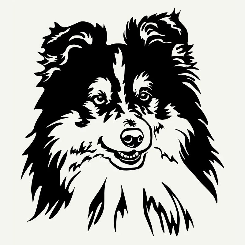 Sheltie Kopf