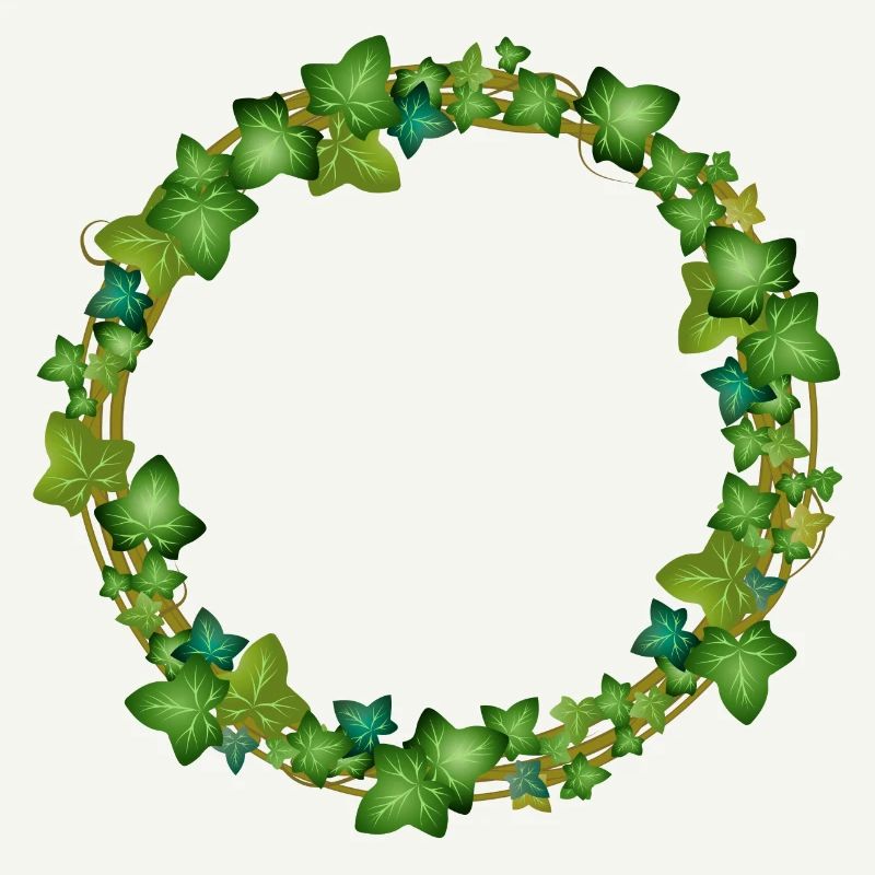 decorative ivy wreath or ivy frame