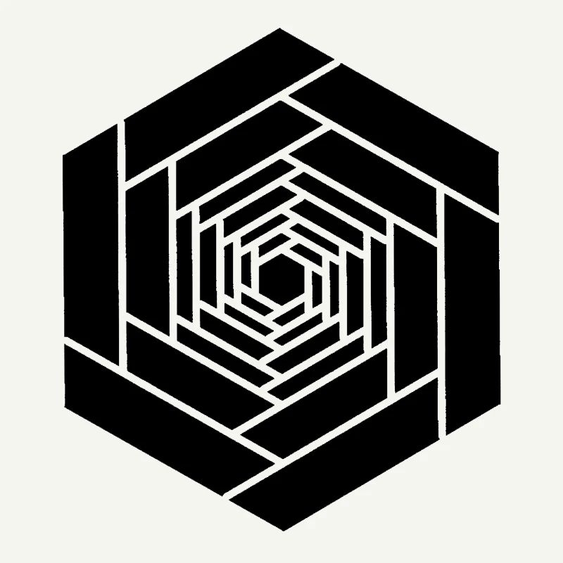 Hexagone infini noir fleur
