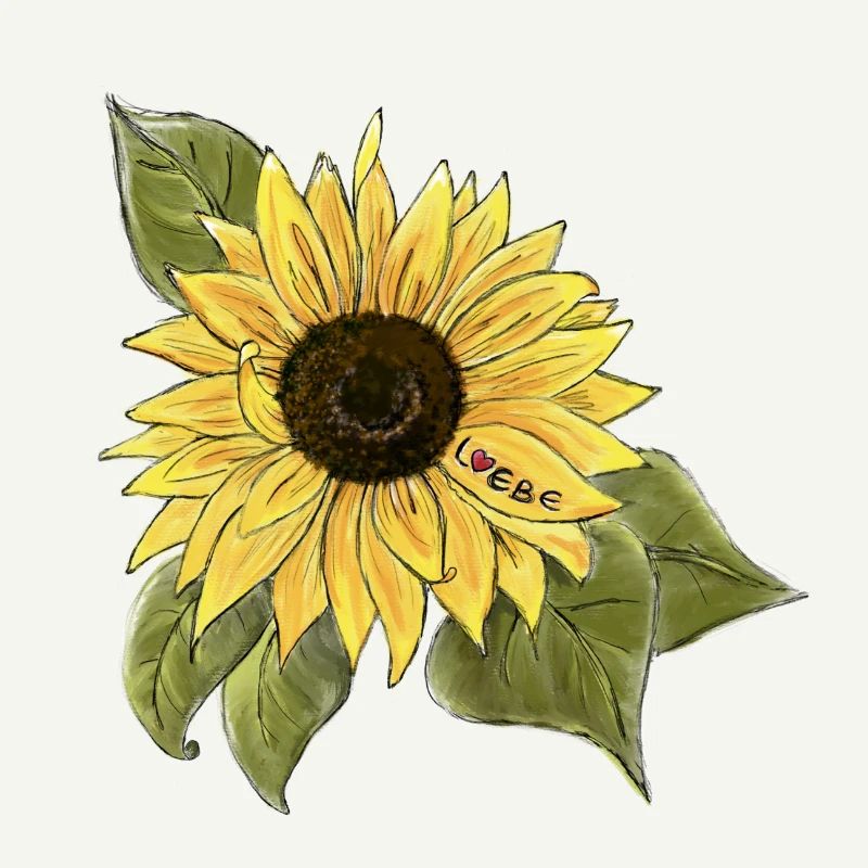 Sonnenblume 🌻