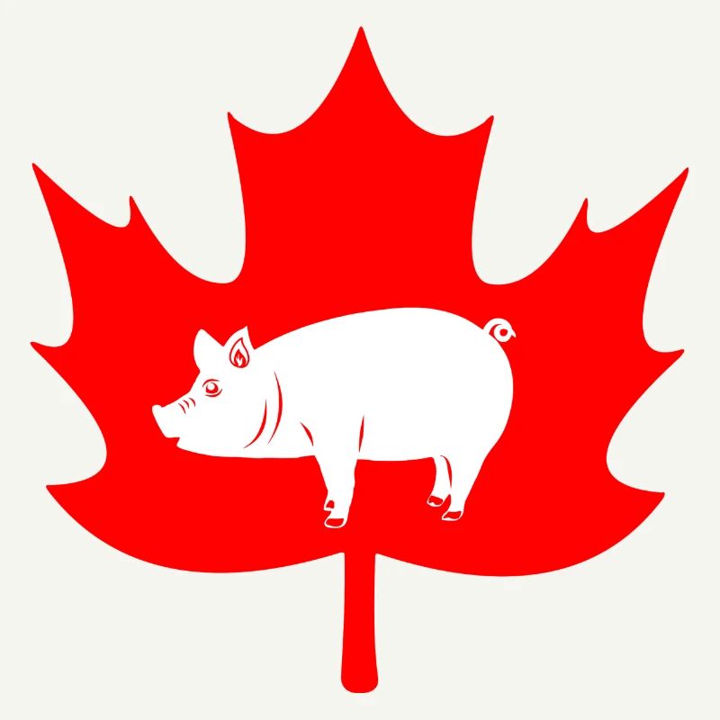 Logo du cochon feuille d’érable du Canada