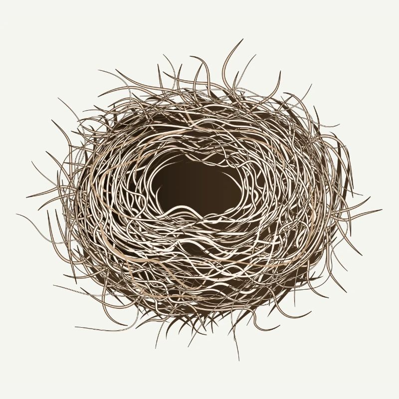 empty bird's nest or easter basket for spring