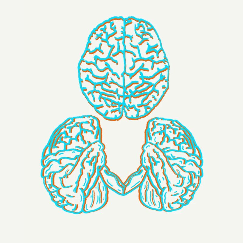 Brain