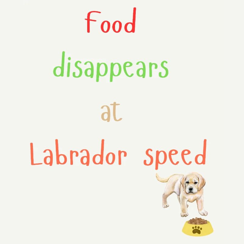 Labrador Essen Verschwinden Verspieltes Design