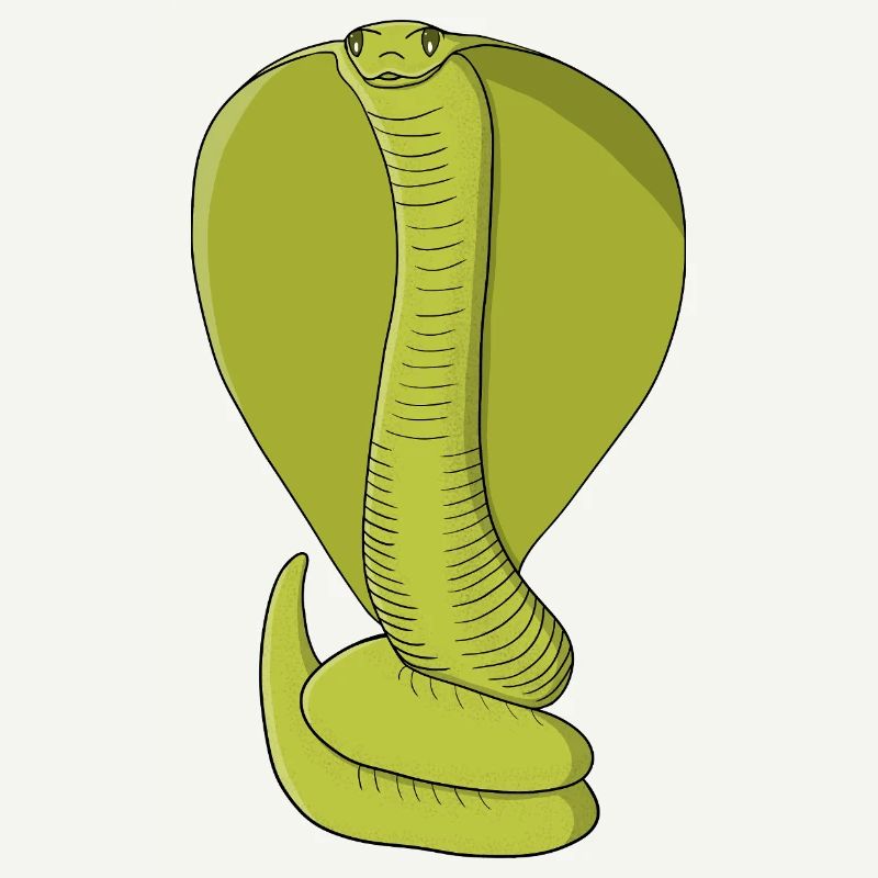 Cobra vert citron vibrant