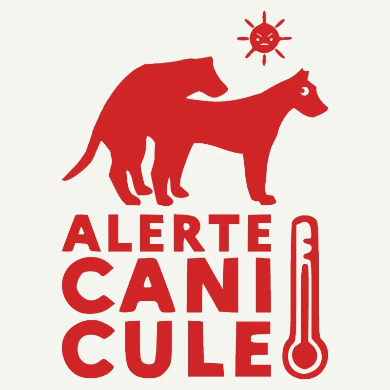 ALERTE CANICULE ! 