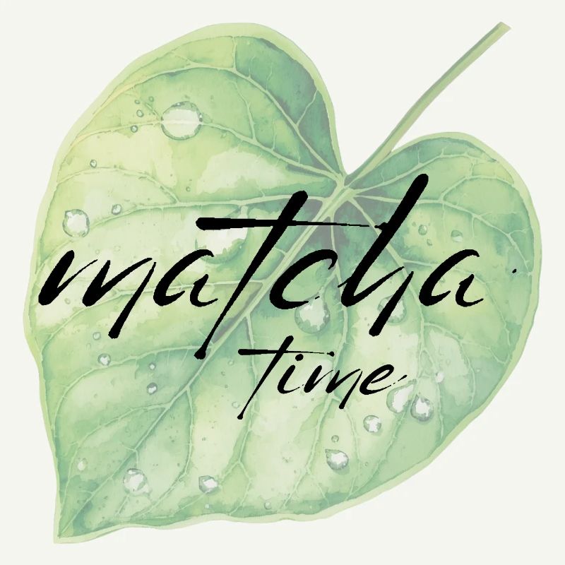 Matcha, feuille, vert, temps