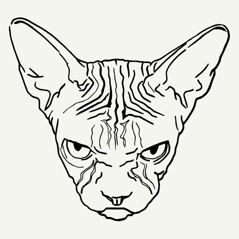 Tête de sphinx