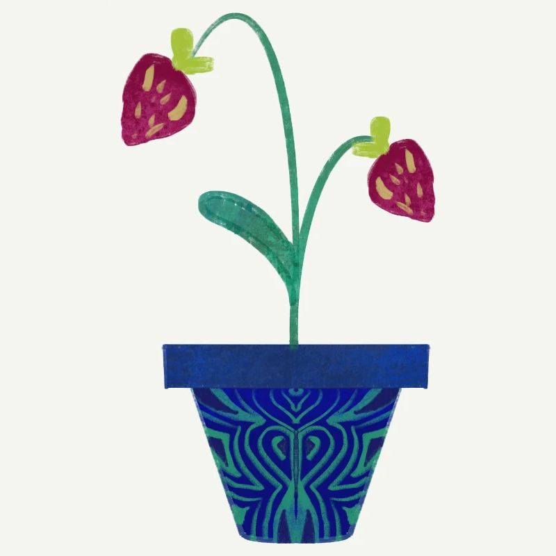 Fraise dans un pot