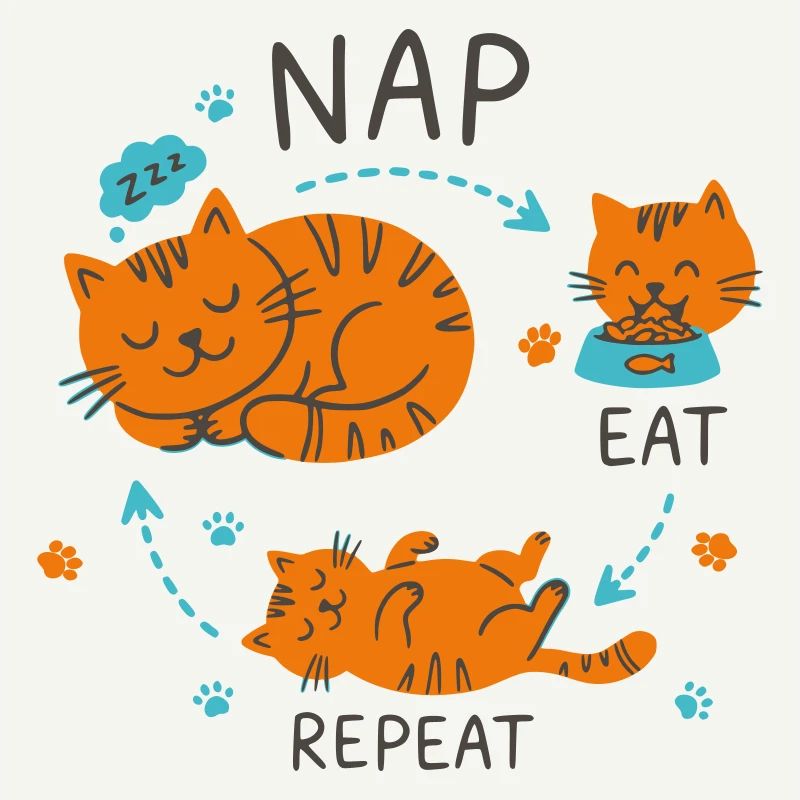 Conception de chat Manger Répétition Sieste