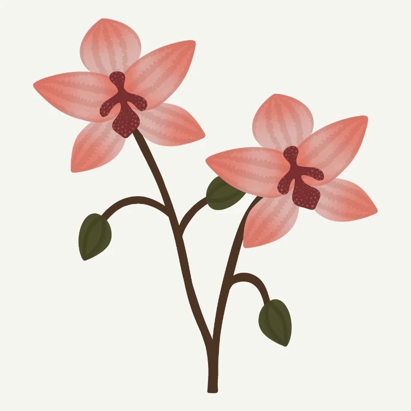 Fleur d’orchidée pastel