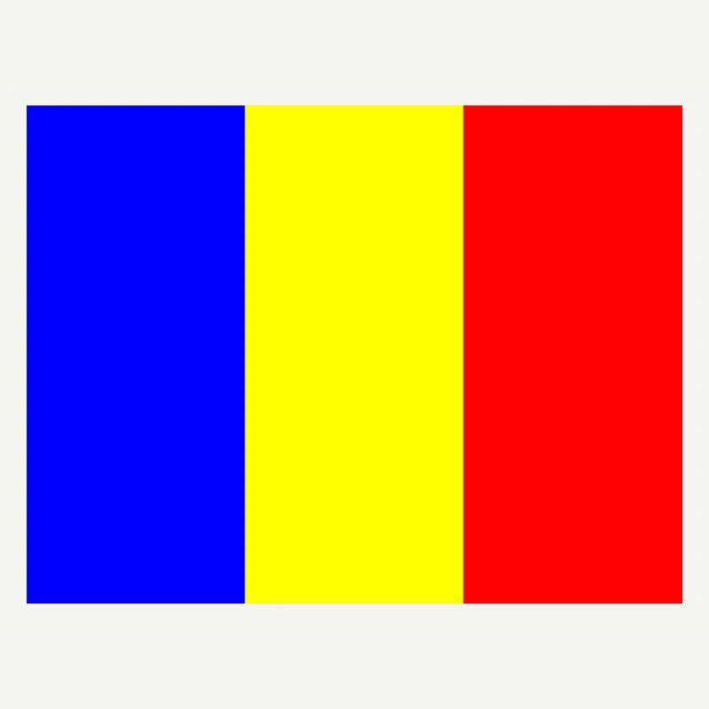 Drapeau de la Roumanie avec design de barre de couleur