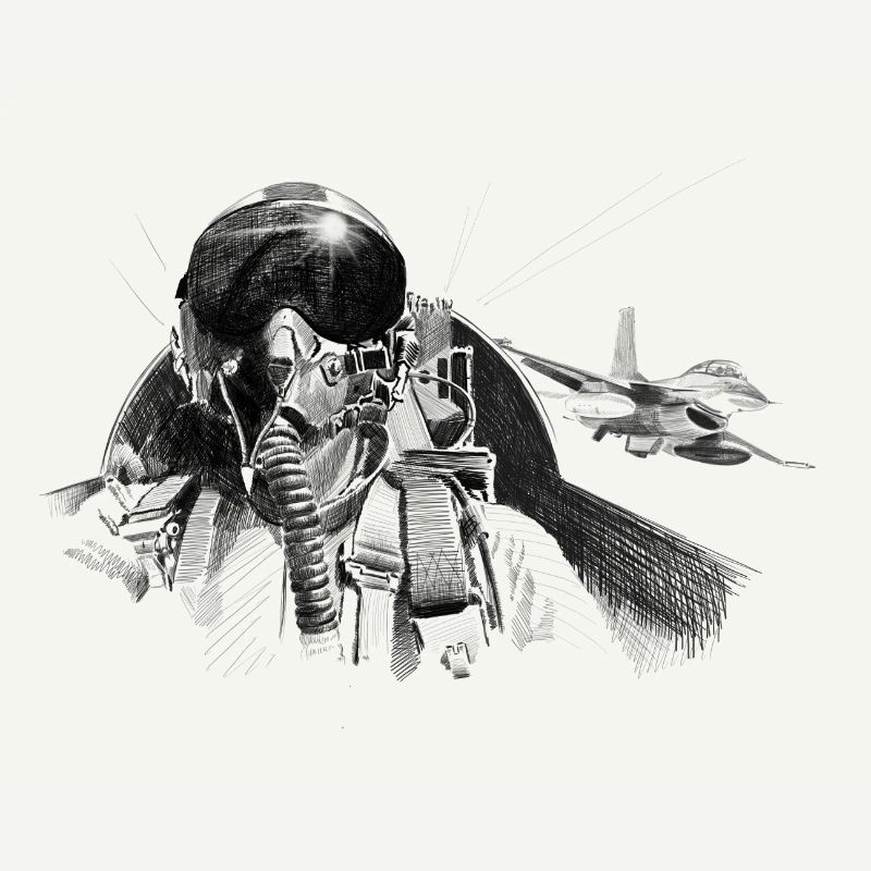 Fighter pilot