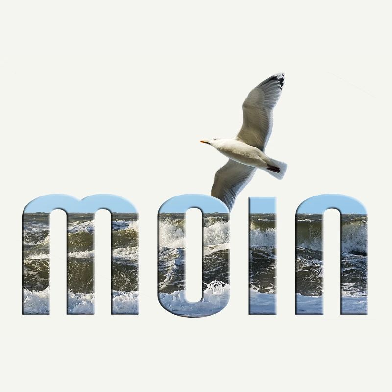 Moin