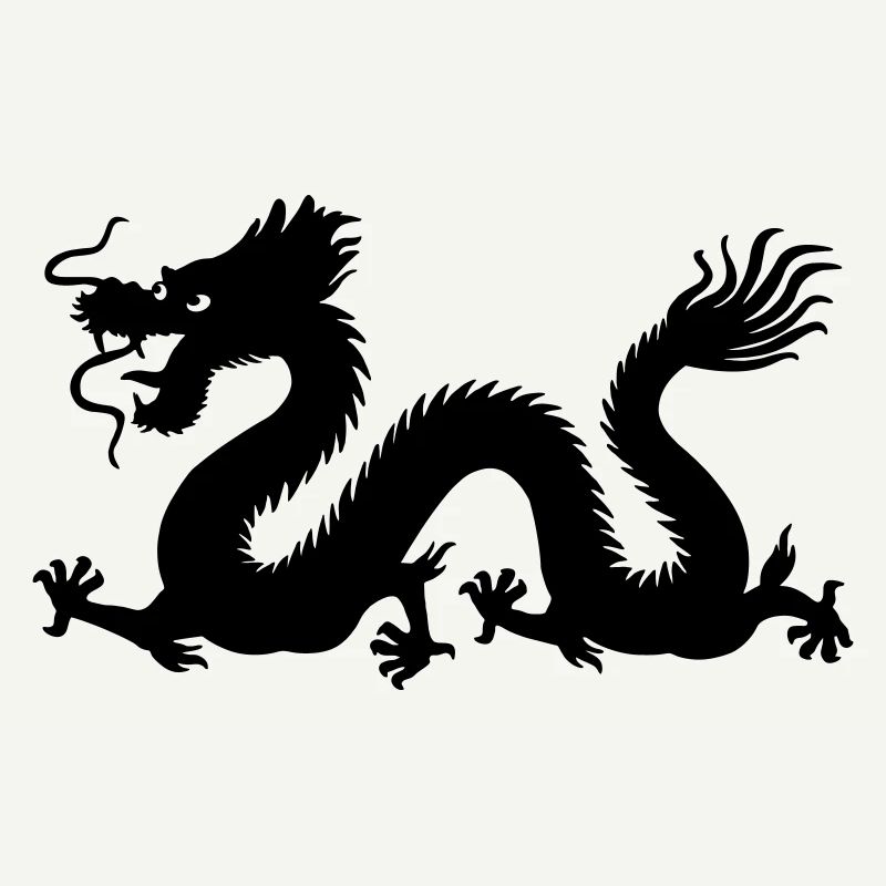 Image d’ombre de dragon année du dragon