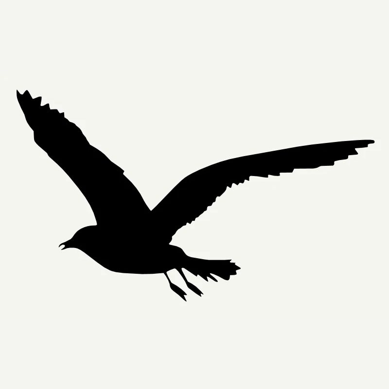 seagull