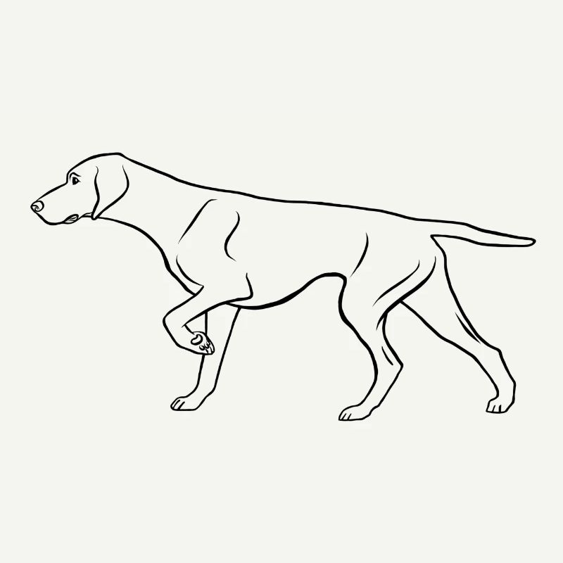 Dt. Shorthaired Pointer, prominent