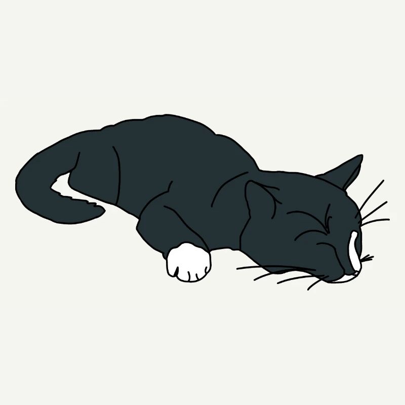 Chat endormi